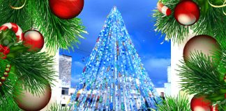 Eco Albero Natale 2015 - Veglie