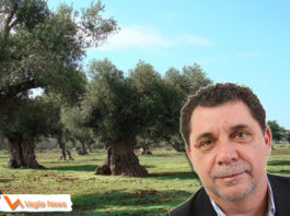 Sindaco di Veglie, dott. Claudio Paladini