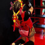 muaithai_palestra_bray_5