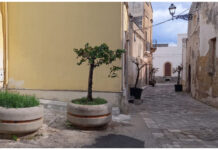 dott. Fabio Coppola: «VEGLIE, VIA DEL POZZO»