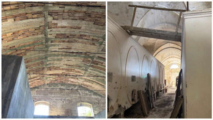 salice_opificio_frassanito_0