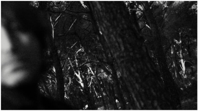 stefanosirsi_signornessuno_0