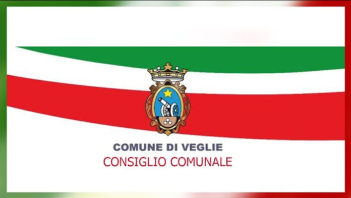 veglie_consigliocomunale_01