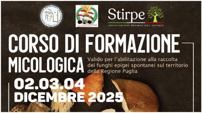 veglie_funghi_dicembre_0