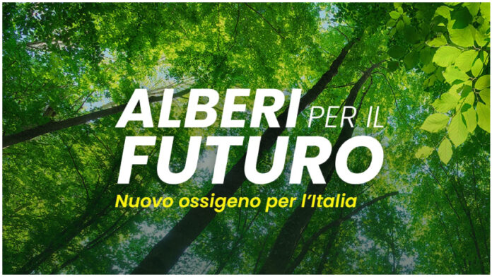 alberi_futuro_01