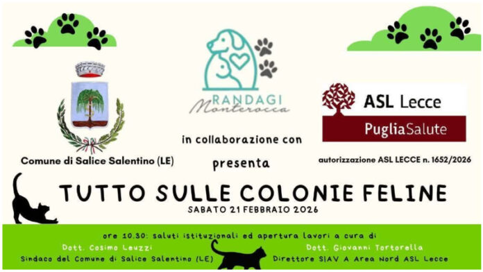 salice_coloniefeline_0