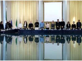 ANTONIO GRECO: «LETTERA A UNA VEGLIESE FUORI SEDE RIGUARDANTE IL CONSIGLIO COMUNALE»