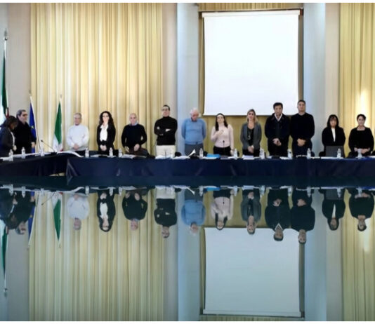 ANTONIO GRECO: «LETTERA A UNA VEGLIESE FUORI SEDE RIGUARDANTE IL CONSIGLIO COMUNALE»