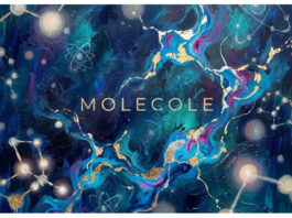 Il nuovo singolo “MOLECOLE” di STEFANO SIRSI disponibile su tutte le piattaforme da Venerdì 3 Aprile 2026