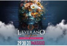 Leverano in Fiore 2026: il Salento delle “Connessioni” tra terra, fatica, arte floreale internazionale, inclusione, solidarietà e spettacolo