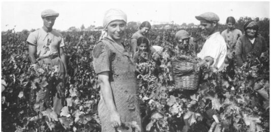 Raffaele Fitto partecipa all’evento “Identità come bene collettivo: 50 anni di Salice Salentino DOC” il 15 Maggio a Salice
