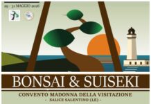 BONSAI E SUISEKI: L’ORIENTE INCONTRA IL SALENTO – A SALICE IL 4° RADUNO NAZIONALE
