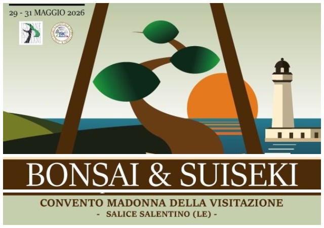 salice_bonsai_01