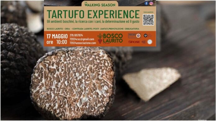 tartufo_experience_0