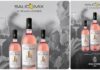 Vitis Makria amplia l’universo di Salicomix con fumetto, vino e videogiochi