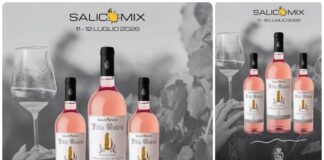 Vitis Makria amplia l’universo di Salicomix con fumetto, vino e videogiochi