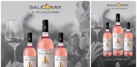 Vitis Makria amplia l’universo di Salicomix con fumetto, vino e videogiochi