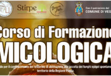 FORMAZIONE MICOLOGICA: A VEGLIE UN CORSO DI TRE GIORNI 19, 20 E 21 OTTOBRE