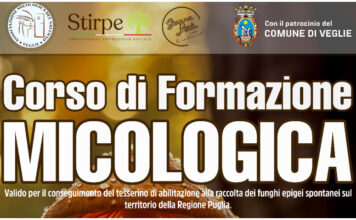 FORMAZIONE MICOLOGICA: A VEGLIE UN CORSO DI TRE GIORNI 19, 20 E 21 OTTOBRE