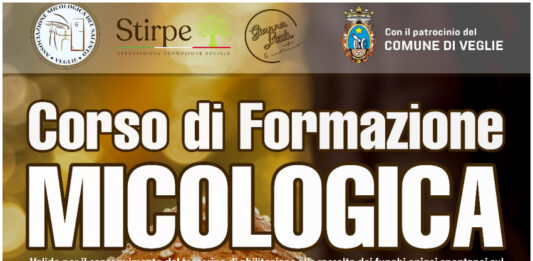 FORMAZIONE MICOLOGICA: A VEGLIE UN CORSO DI TRE GIORNI 19, 20 E 21 OTTOBRE