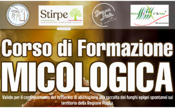 FORMAZIONE MICOLOGICA: A VEGLIE UN CORSO DI TRE GIORNI 19, 20 E 21 OTTOBRE