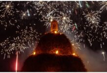 Novoli, si insedia il nuovo Comitato Festa Sant’Antonio Abate