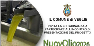 NuovOlio-2026: Martedì 27 Ottobre presentazione del progetto sperimentale l’assegnazione gratuita di piante di ulivo resistenti alla Xylella fastidiosa