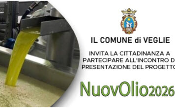 NuovOlio-2026: Martedì 27 Ottobre presentazione del progetto sperimentale l’assegnazione gratuita di piante di ulivo resistenti alla Xylella fastidiosa